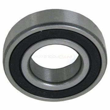 High Speed! Original SKF/ NSK/NTN//Koyo Deep Groove Ball Bearing (6202 2Z)