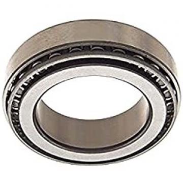 OEM China All Kinds Ceramic Bearing with Competitive Price (6000/6001/6002)