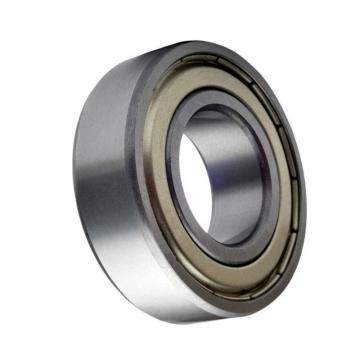 SKF NTN IKO Wheel Hub Bearing Dac28610042/2RS Branded Bearings