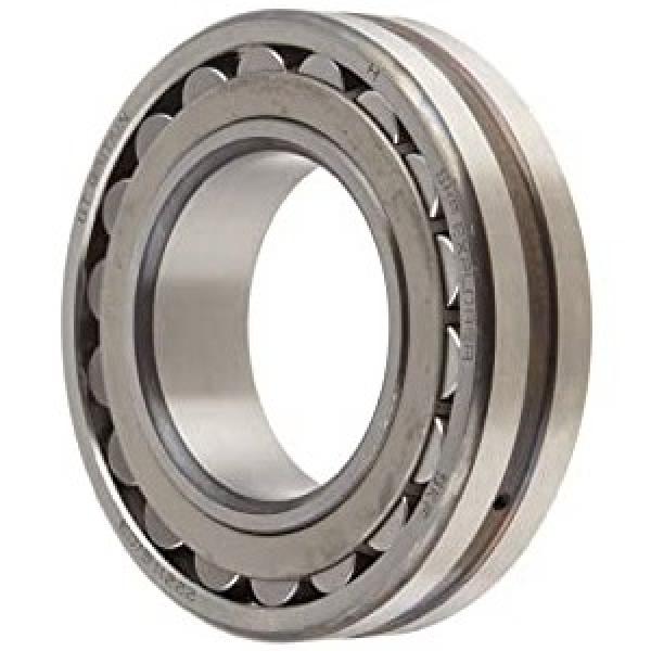 020.25.710 Small size rides double row ball slewing ring bearing #1 image